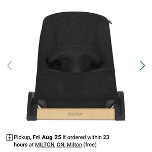 Evolur koko bouncer - like new